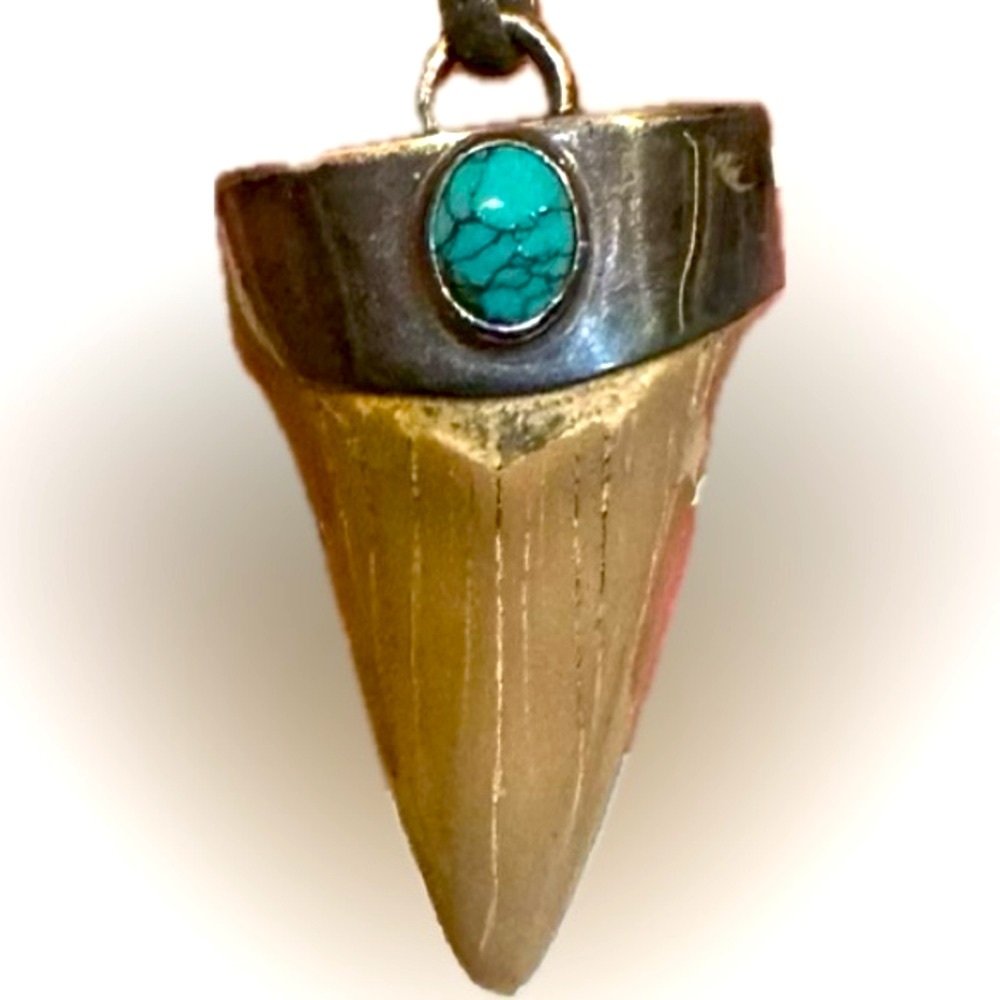 VTG MEGALODON SHARK TOOTH PENDANT NECKLACE STERLING SILVER TURQUOISE LEATHER 24”